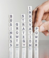 Strategic Services Picture Description